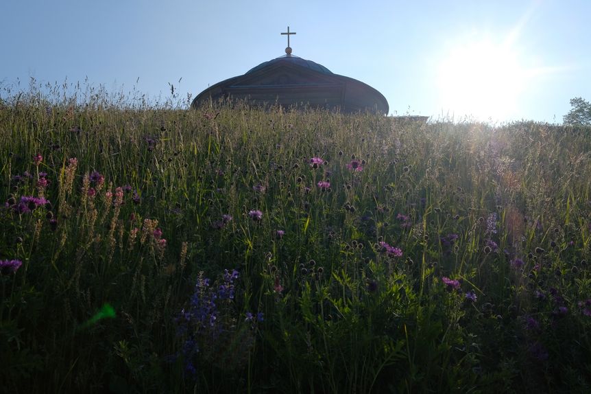 Grabkapelle auf dem Württemberg, außen, Blühwiese an der Grabkapelle